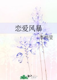 《戀愛風暴》