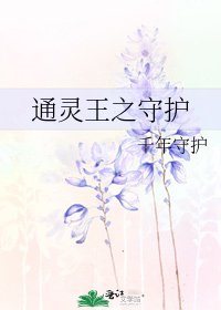 通灵王之守护