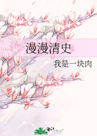 漫漫清史