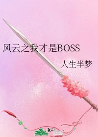 风云之我才是BOSS
