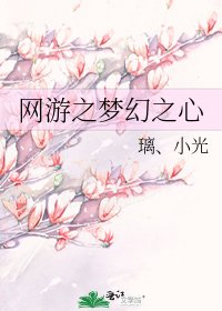網遊之夢幻之心