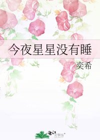 《今夜星星沒有睡》
