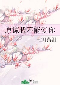 原谅我不能爱你