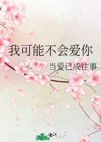 我可能不会爱你