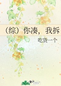 (综)你凑,我拆