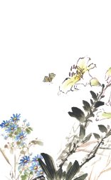 雾失晓枫