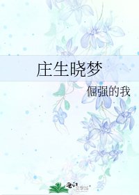 庄生晓梦