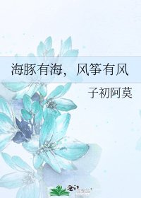 海豚有海,风筝有风