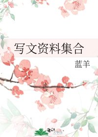 寫文資料集合