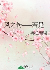 風之傷——若是