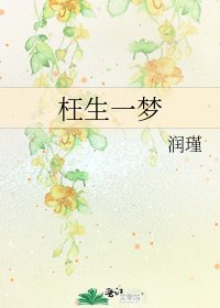 枉生一梦