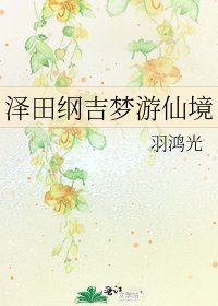 泽田纲吉梦游仙境