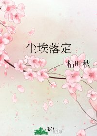 尘埃落定
