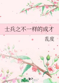 《士兵之不一樣的成才》