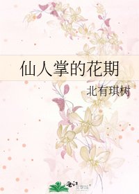 仙人掌的花期