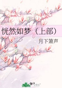 恍然如夢(上部)