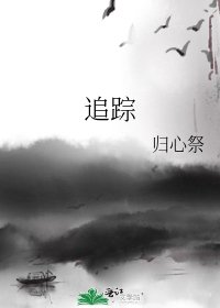 追踪