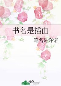 《書名是插曲》