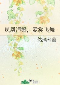 凤凰涅槃,霓裳飞舞