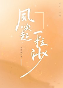 风吹起一粒沙