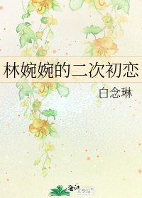 林婉婉的二次初恋