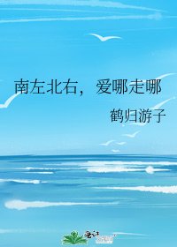《南左北右,愛哪走哪》
