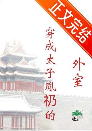 《穿成太子胤礽的外室》