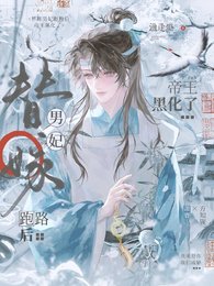 替嫁男妃跑路後，帝王黑化了
