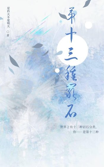 《第十三種岩石》