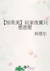 《【綜英美】玩家夜翼只想惡墮》