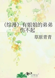 (綜漫)有姐姐的弟弟傷不起