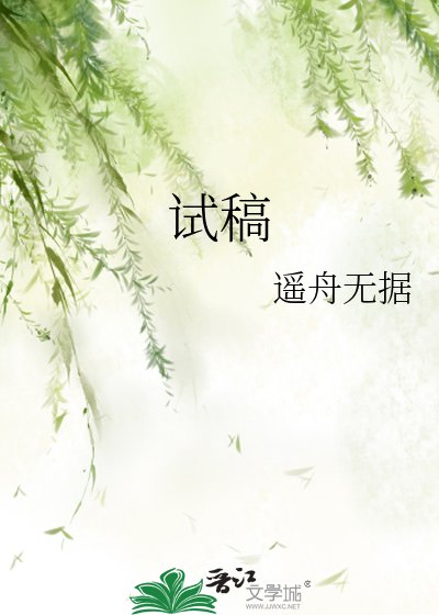 试稿