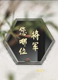 《將軍,您哪位?》