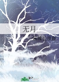 无月