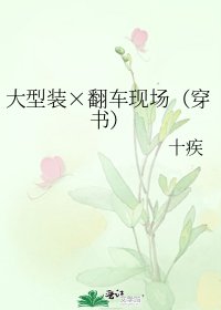 大型裝×翻車現場(穿書)