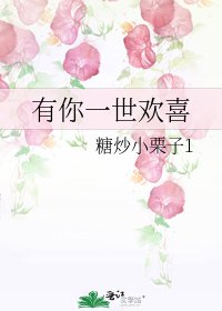 有你一世欢喜