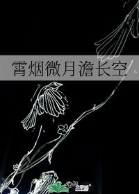 《霄煙微月澹長空》