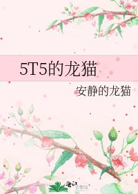 5T5的龙猫