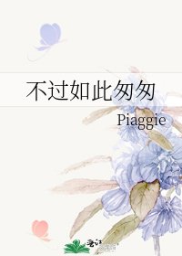 不过如此匆匆