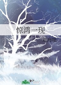 惊鸿一现