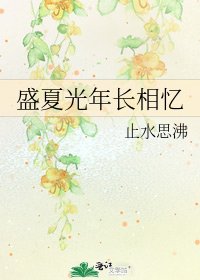 《盛夏光年長相憶》