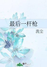 最后一杆枪