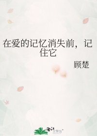 《在愛的記憶消失前,記住它》