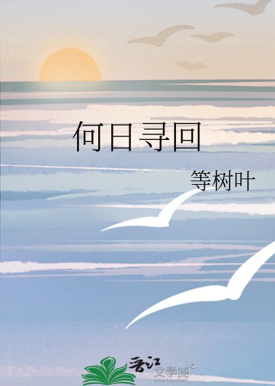 《何婿尋回》