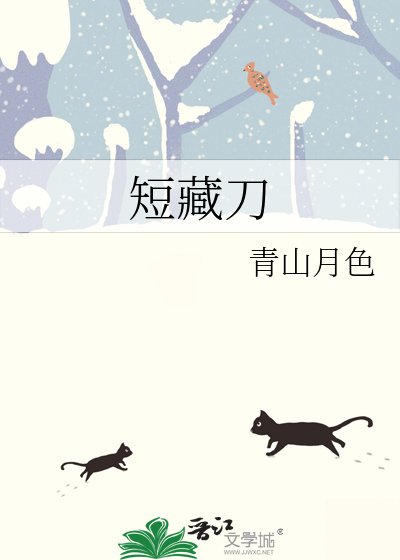 短藏刀