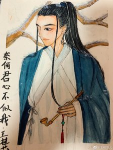 奈何君心不似我