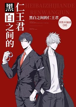 (综漫同人)黑白之间的仁王君