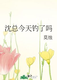 《沈總今天釣了嗎》