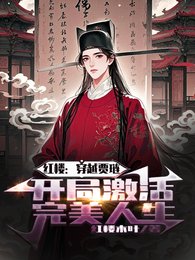 《紅樓:穿越賈璉開局啟用完美人生》