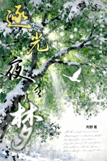 《逐光夜之夢》